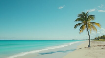 Aerial view of beautiful tropical beach and sea with coconut palm tree - Vintage Filter