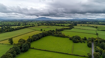 Lush green fields irish countryside aerial view