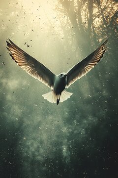Majestic bird in flight enchanted forest wildlife photography ethereal light upward angle freedom concept