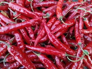 red chili. close up top view pile of red thai hot chili peppers.