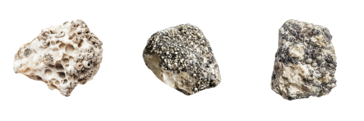 Set of small piece of barnacle-encrusted rock isolated on a transparent background