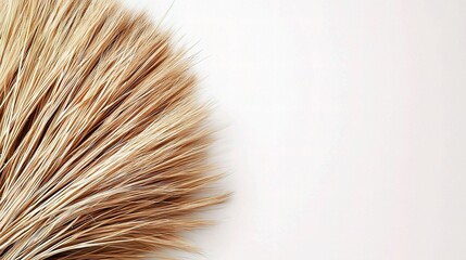 Handmade Natural Straw Broom with Fine Bristles Isolated on White