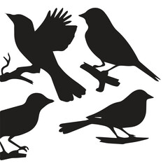 Bird silhouette vector icon logo.

