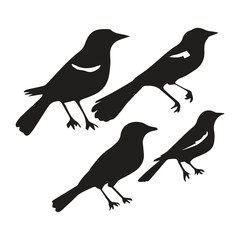 Obraz premium Bird silhouette vector icon logo. 