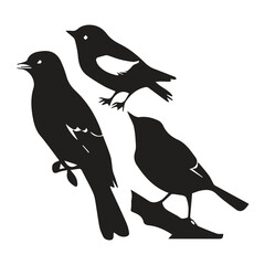 Bird silhouette vector icon logo.
