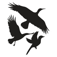 Fototapeta premium Bird silhouette vector icon logo. 