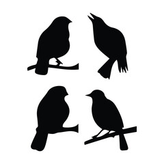 Bird silhouette vector icon logo.
