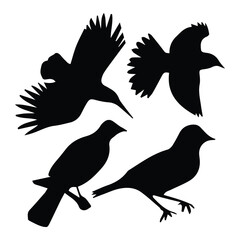 Bird silhouette vector icon logo.
