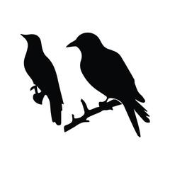 Obraz premium Bird silhouette vector icon logo. 