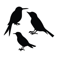 Bird silhouette vector icon logo.
