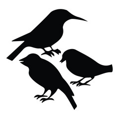Bird silhouette vector icon logo.
