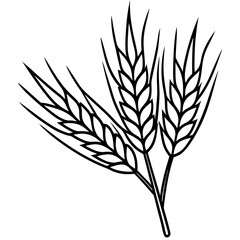 Barley Line Art Design