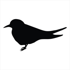 silhouette of a bird