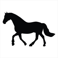 silhouette of a horse