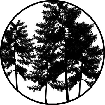 Gobos Four Trees with branches 