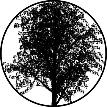 Garden Tree Gobos Black & white Background