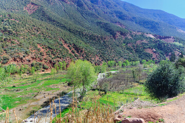 Ourika Valley landscapes, Morocco. Near Marrakesh.