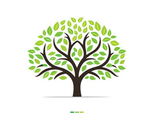 Obraz premium tree with green leaves vector white background