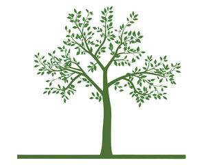 vector tree isolated on green with white background