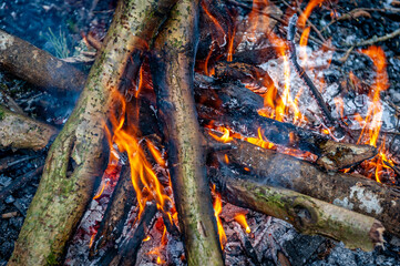 Campfire on an early spring nature trail. Close-up of wood with fire.