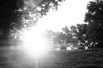 Texas spring season sunrise over landscape in black and white.