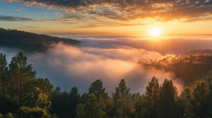 Obraz premium Breathtaking views of Portugal's beautiful scenery, fantastic wild nature, professional photo