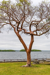 Biscayne Bay National Park in January