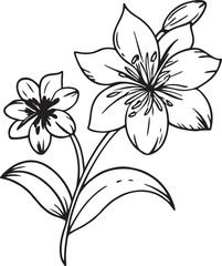  beautiful flower