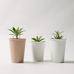 Three eco-friendly cups featuring plant lids are displayed against a clean white backdrop