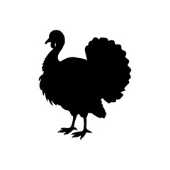 Wild turkey bird silhouette vector illustration design.