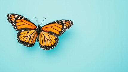 Naklejka premium A vibrant orange butterfly rests on a light blue background, showcasing its intricate patterns and delicate wings.