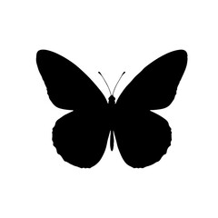 Simple butterfly silhouette icon flat vector illustration design.