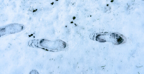 A pair of shoes are in the snow