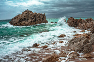 waves crashing against a rock, large rock in the sea with cormorants perched on it