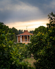Houses in the mountain - Forest