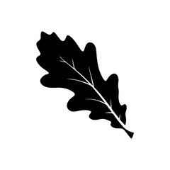 Oak leaf icon silhouette vector illustration design.