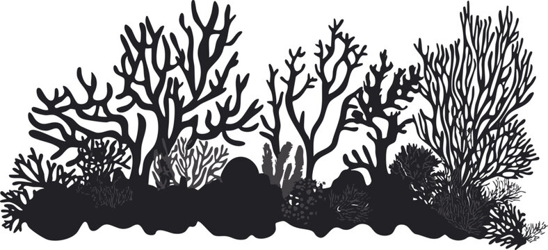 Stylized Silhouette of Coral Reef: Black outlines showcasing intricate marine life forms ideal for design or educational use.