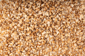 Boiled Buckwheat Texture, Cooked Buck Wheat Grains Pattern, Crumbled Porridge Background