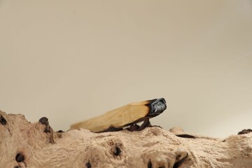 Smoldering palo santo stick and snag on beige background, closeup. Space for text