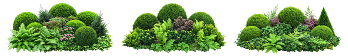 PNG Garden hedge flower bed, element set on transparent background