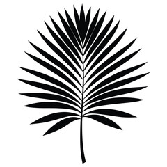 Fototapeta premium Broad palm leaf vector art illustration icon logo