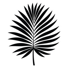 Obraz premium Broad palm leaf vector art illustration icon logo