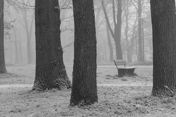 Frostiger wnter im Münsterland