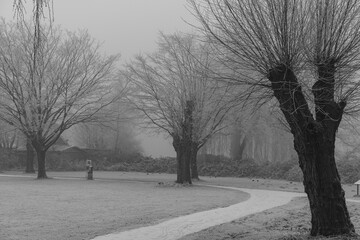 Frostiger wnter im Münsterland