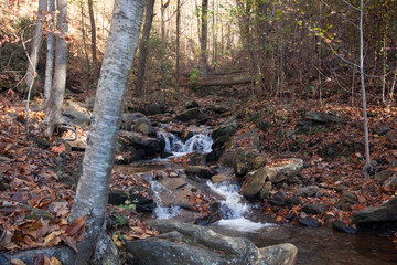 Lovely Water cascading over rocks