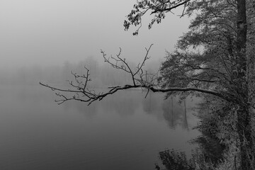 Frostiger wnter im Münsterland