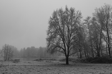 Obraz premium Winterzeit im Münsterland
