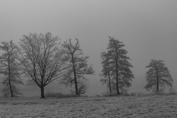 Winterzeit im Münsterland