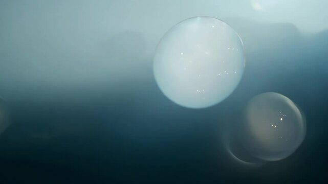 Abstract image of a single soap bubble floating in a dark space, symbolizing fragility and wonder. Great for minimalistic and conceptual themes.