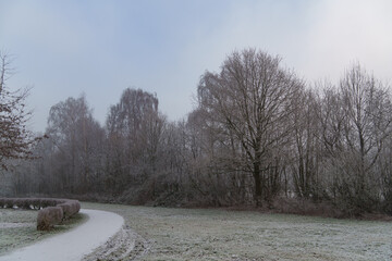 Frost und Nebel am See